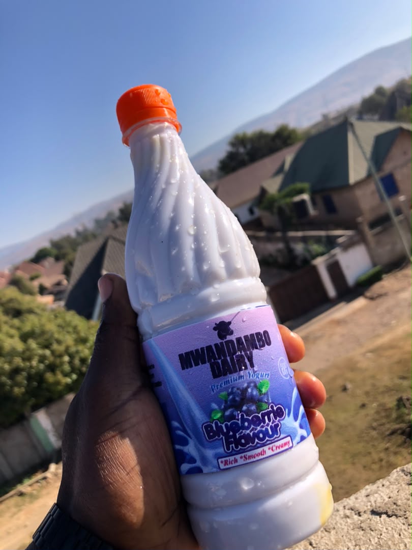 Blueberry Yoghurt 500ml